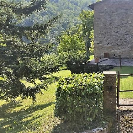 Casa Titina Riposo E Relax Nella Campagna Toscana Pratovecchio Exteriér fotografie