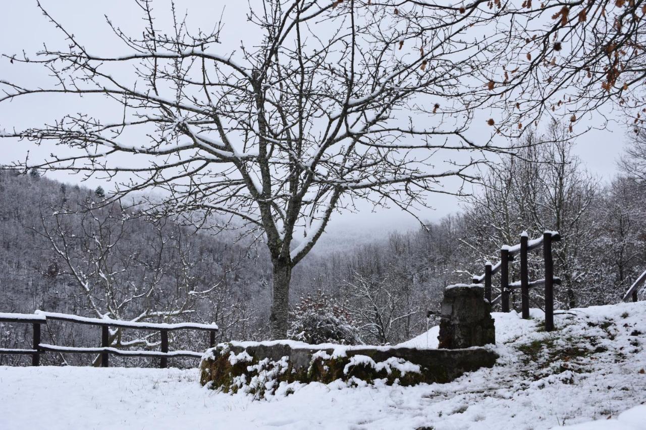 Casa Titina Riposo E Relax Nella Campagna Toscana Pratovecchio Exteriér fotografie