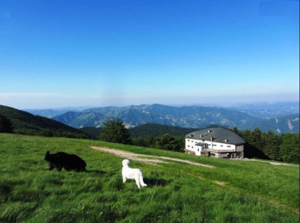 Casa Titina Riposo E Relax Nella Campagna Toscana Pratovecchio Exteriér fotografie