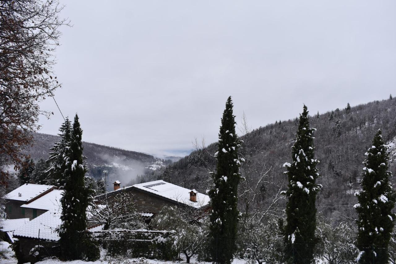 Casa Titina Riposo E Relax Nella Campagna Toscana Pratovecchio Exteriér fotografie