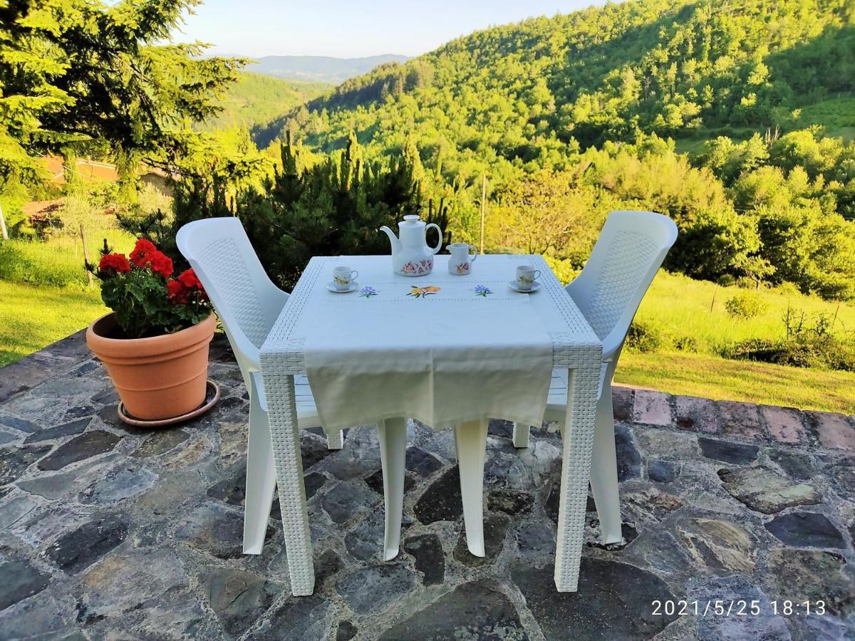 Casa Titina Riposo E Relax Nella Campagna Toscana Pratovecchio Exteriér fotografie