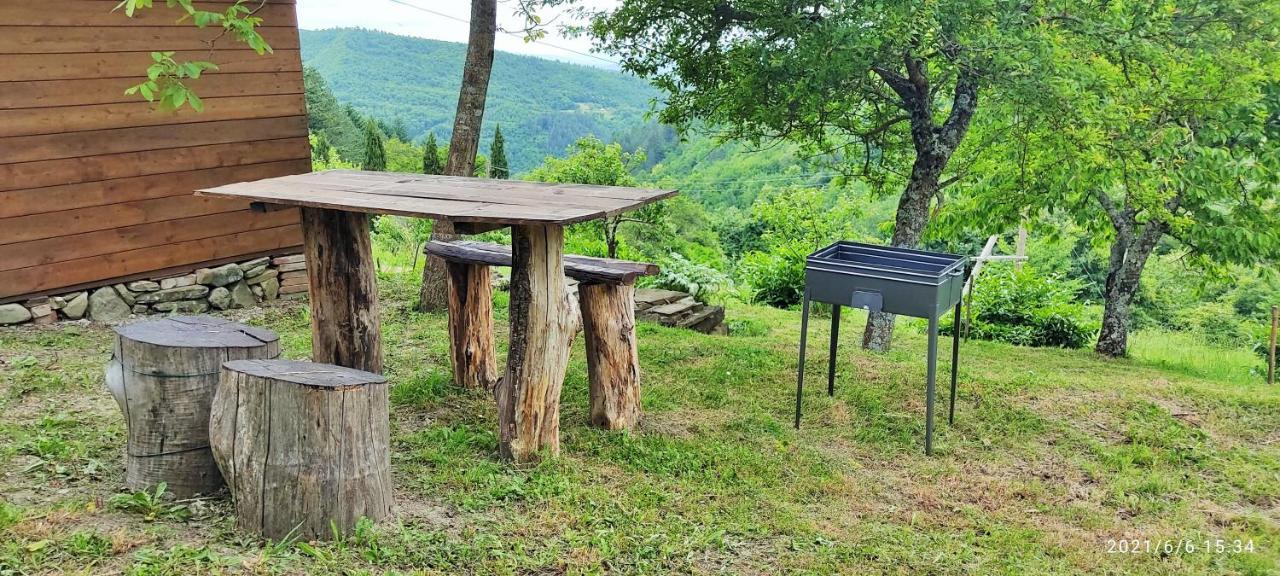 Casa Titina Riposo E Relax Nella Campagna Toscana Pratovecchio Exteriér fotografie