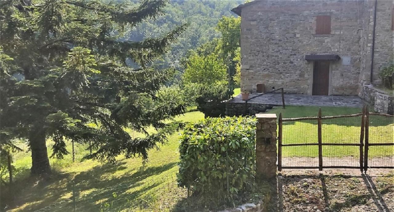 Casa Titina Riposo E Relax Nella Campagna Toscana Pratovecchio Exteriér fotografie